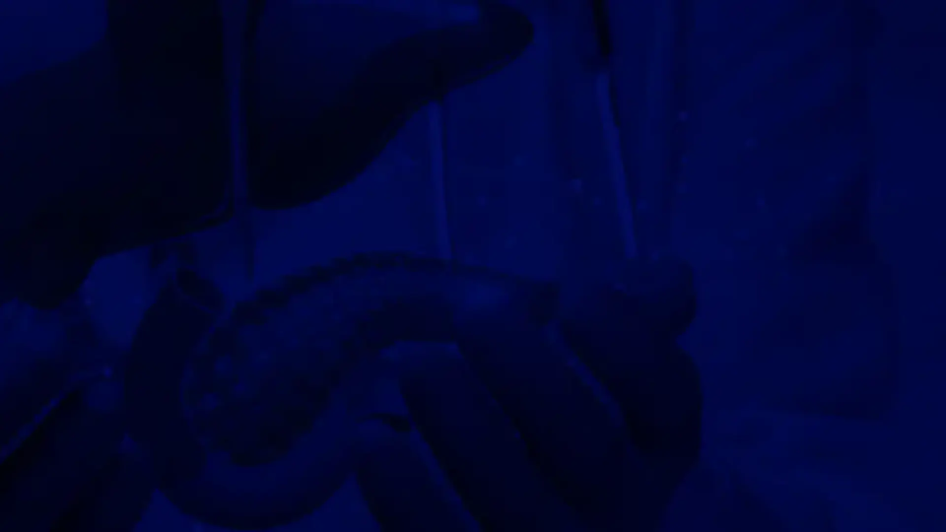 About Header